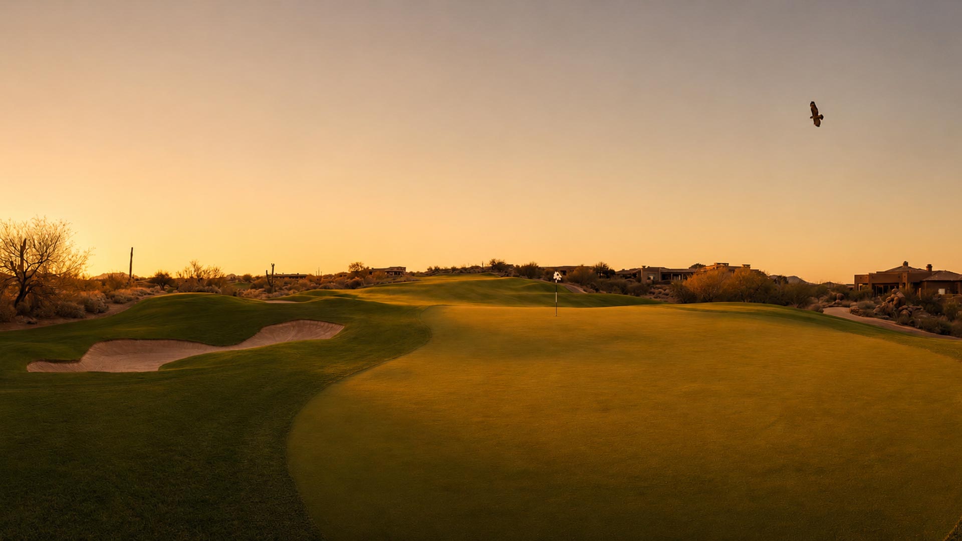 Troon North Golf Course